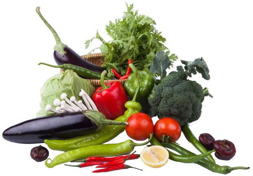 复课后学校食堂管理与学生安全指南