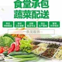 餐饮与歌舞的融合 一场感官与情感的盛宴